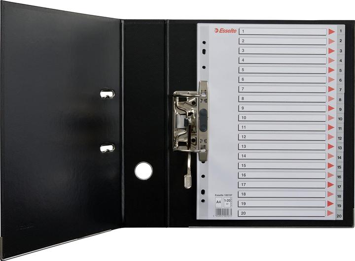 Produktbild Esselte Plastikregister