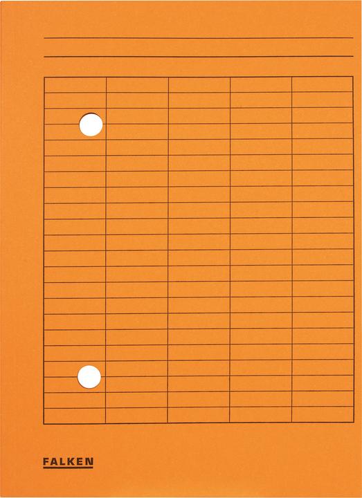 Image du produit Falken Dossier de circulation (A4, 1x)