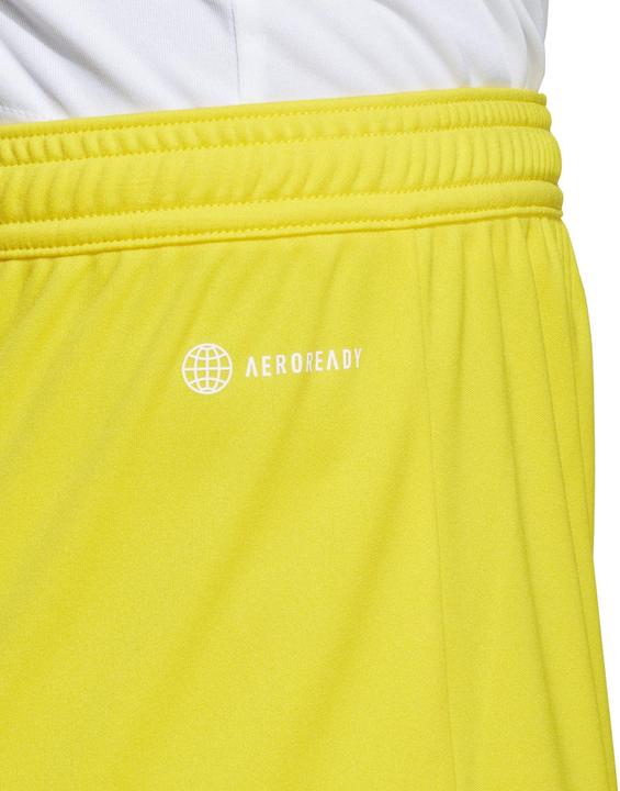 Produktbild adidas Entrada 22 Trainingsshort Damen (XXS)