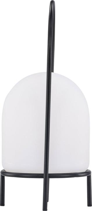 Image du produit Venture Home Colie (300 lm)