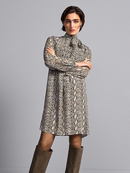 Image du produit Riani Minikleid (40)