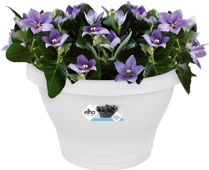 Produktbild Elho Corsica Wandampel (16 cm)