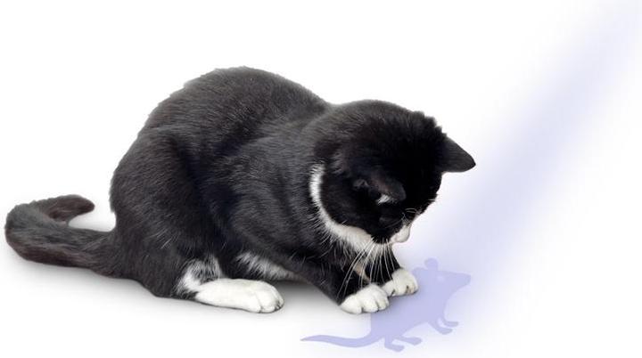 Produktbild Karlie Pointer mit Maus-Motiv (Beschäftigungsspielzeug Katze)