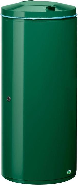 moss green (RAL 6005)