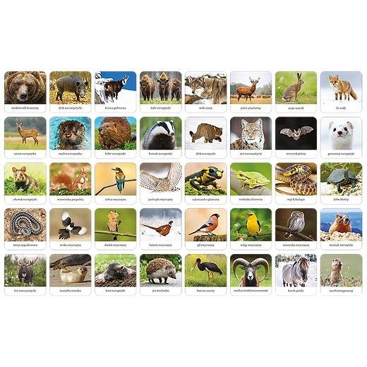 Thumbnail - Adamigo 's Membrane Game - Polnische Fauna (Polnisch)
