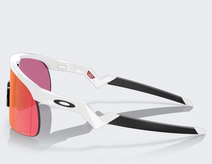 Actual product image Oakley Resistor (Polished white, White glossy, prizm field)