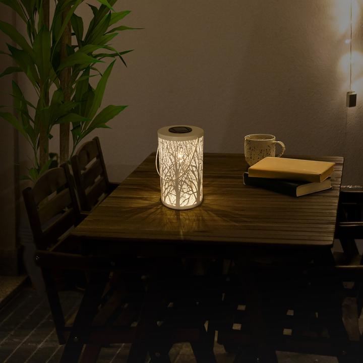 Produktbild Näve LED-Deko-Solarleuchte weiss (IP44)