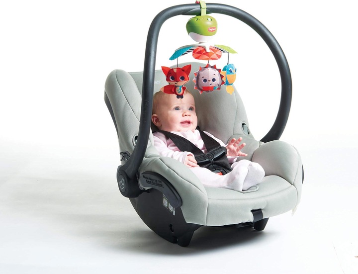 Actual product image Tiny Love Take Along- Tiny Princess Tales