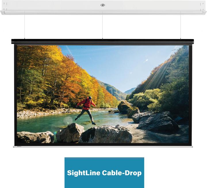 Actual product image Projecta DescenderPro (162.60", 16:10)