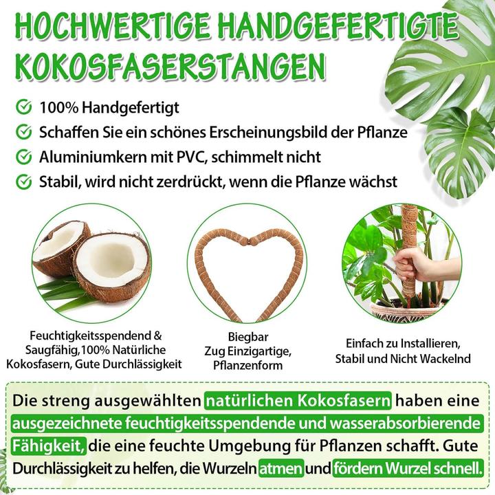 Actual product image Modacraft 18-teiliges Pflanzenstab Set (64 cm, 3 cm)