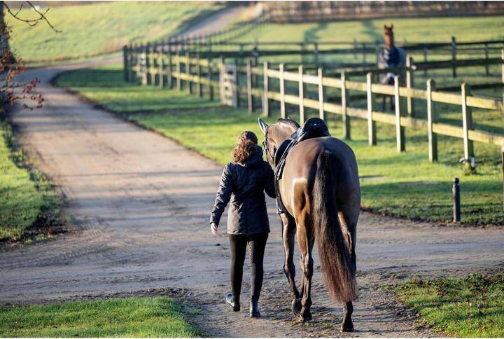 Actual product image Equipage Valeska (M)