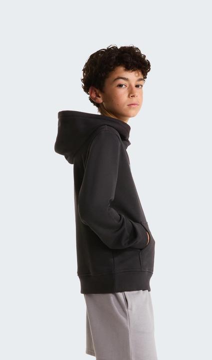 Produktbild North Face Liquid Logo Reg (116)