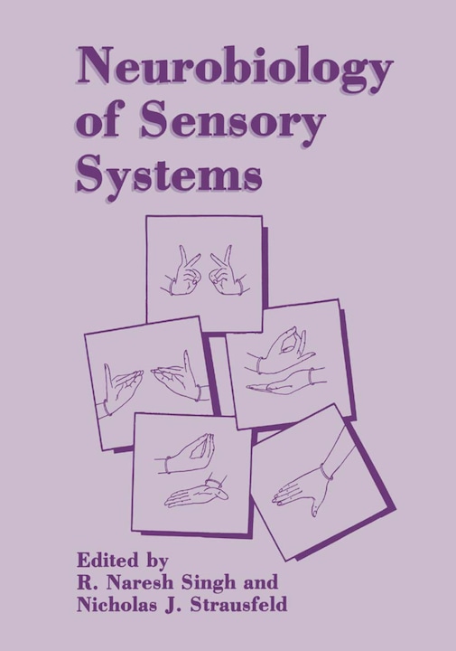 Produktbild Neurobiology of Sensory Systems (Englisch, R. Naresh Singh, Nicholas J. Strausfeld, 2013)