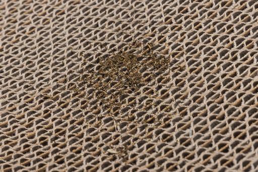 Actual product image Beeztees Scratching board (10 cm, White, Brown)