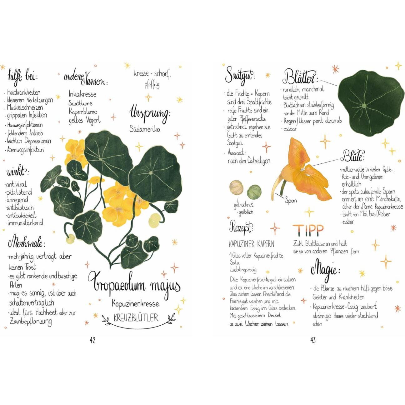Thumbnail - Meine liebsten Gartenpflanzen, Ratgeber von Michaela V. Kessel