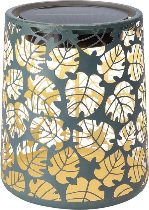 Image du produit STT Santana