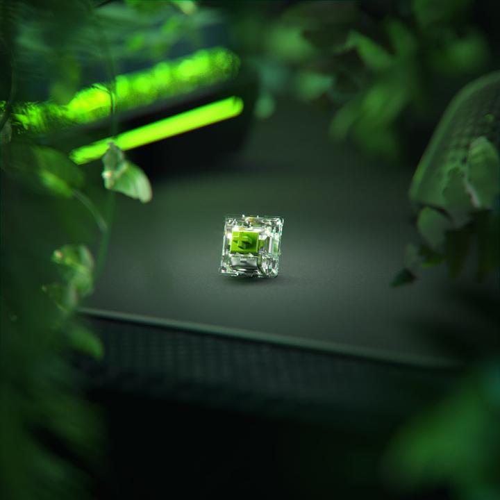 Actual product image Glorious PC Gaming Race Glorious Raptor Switch, mechanical, 5-pin, clicky, MX stem, 55g - 36 pieces