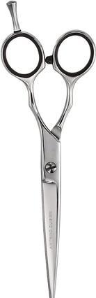 Image du produit Artero 6 Ciseaux de coiffeur (15.20 cm)