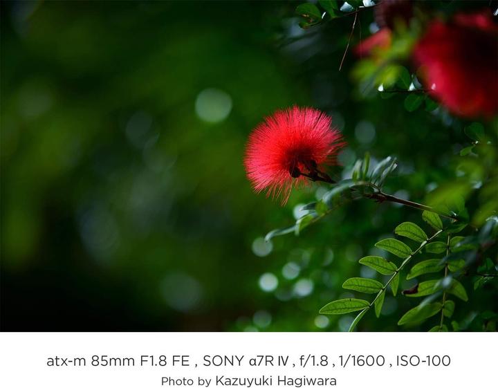 Image du produit Tokina Focale fixe Atx-m 85mm F1.8 FE Sony E-Mount (Sony E, Plein format)