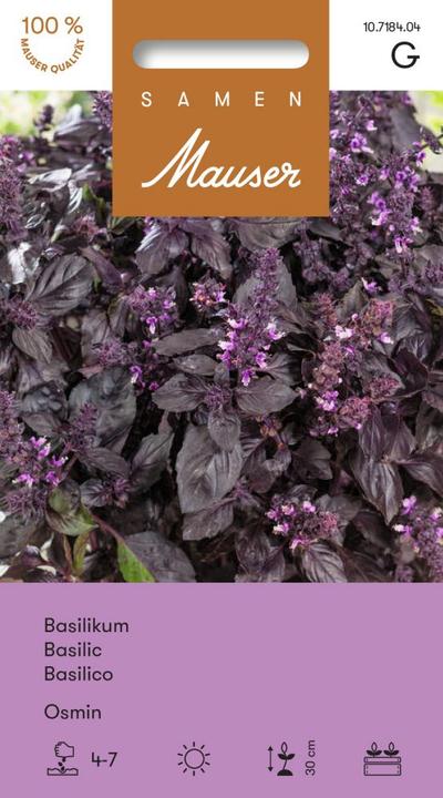 Actual product image Samen Mauser Basil Osmin (Herb seeds)