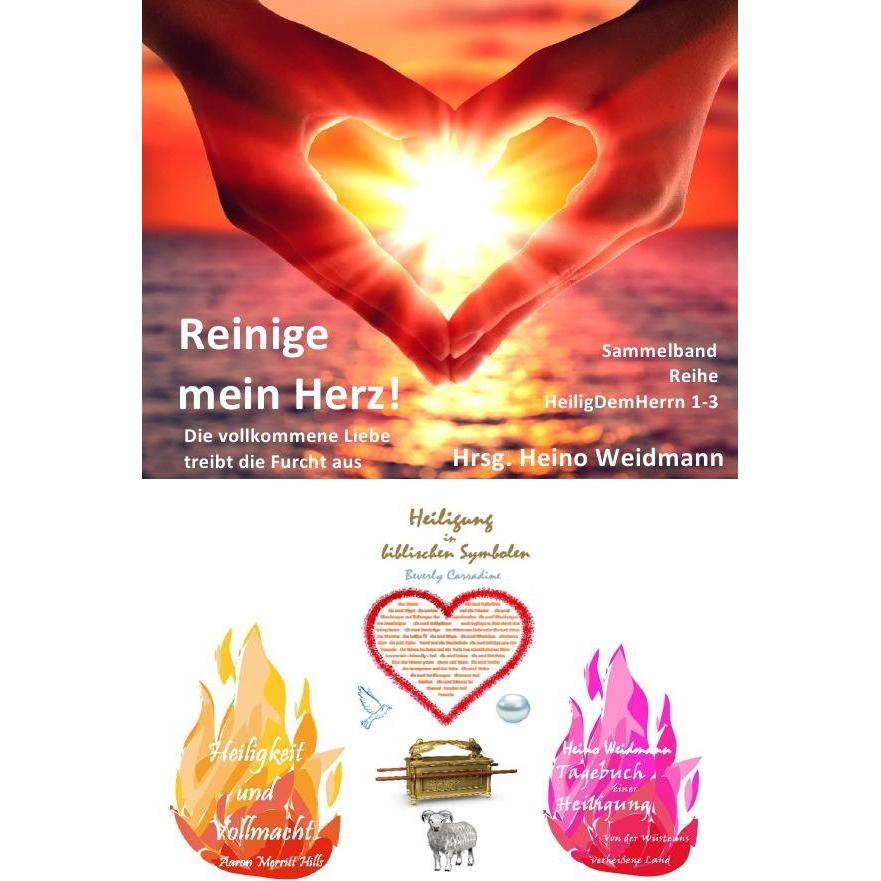 Reinige mein Herz!, Sachbücher von Aaron Merritt Hills
