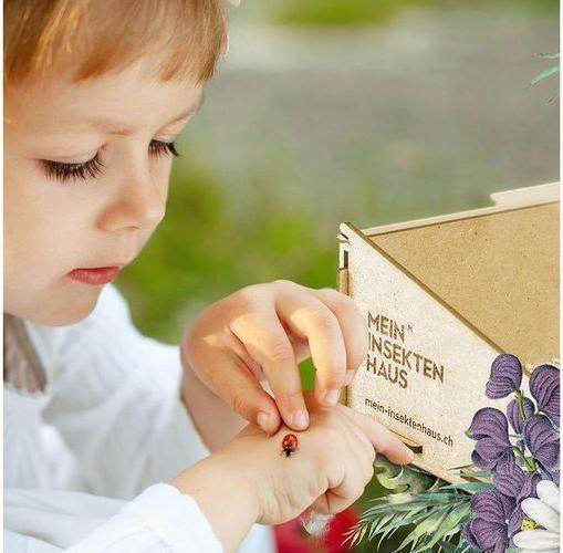 Actual product image Mein Raupenkasten Ladybird house (Ladybirds)