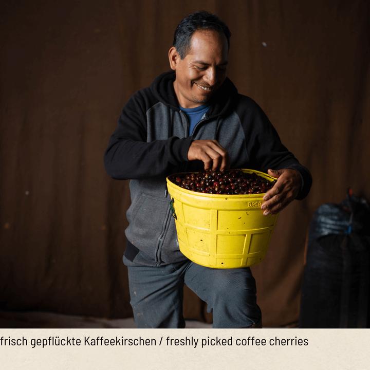 Actual product image Tropical Mountains Café en grains Bio (1000 g, Medium roast)