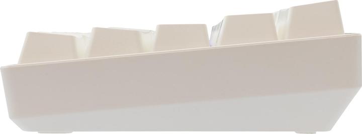 Produktbild White Shark GK-004221 Shinobi-2 Blue switch, White US (US, Kabelgebunden)