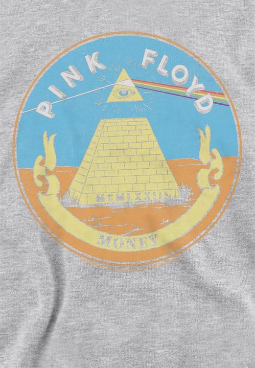 Produktbild Pink Floyd Money Kapuzenpullover meliert (116)