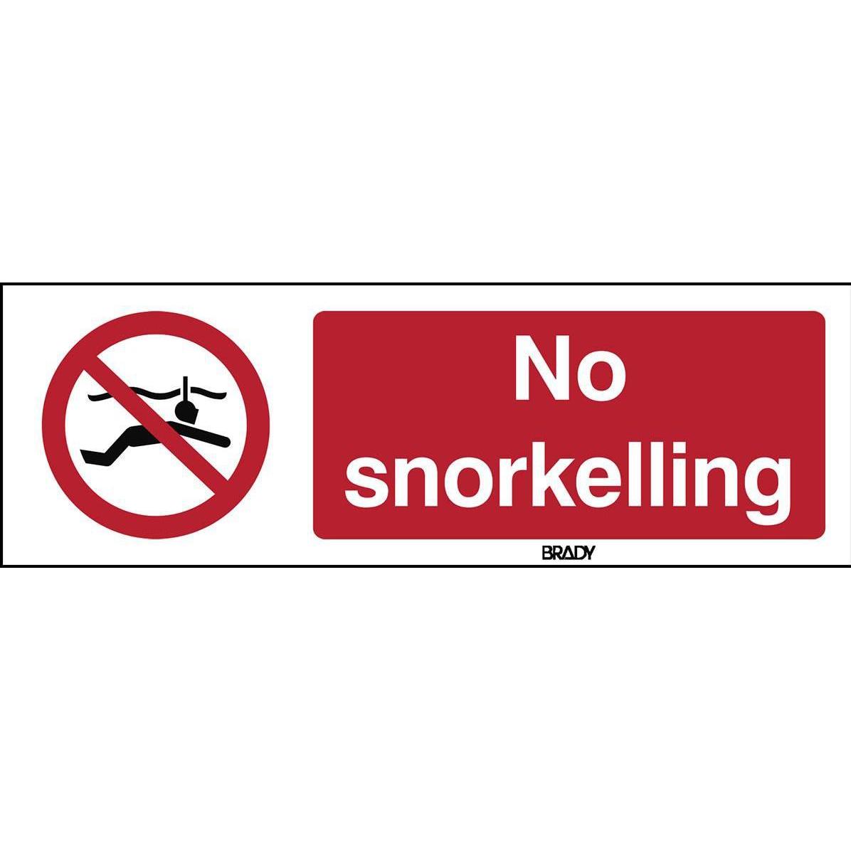 Brady, Sicherheitskennzeichnung, ISO Safety Sign - No