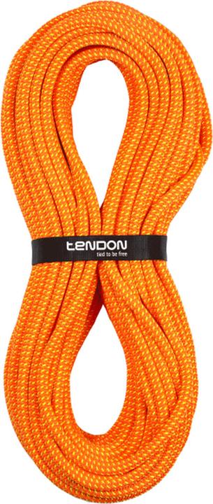 Immagine prodotto Tendon Ambition 10.2 Tefix (60 m)