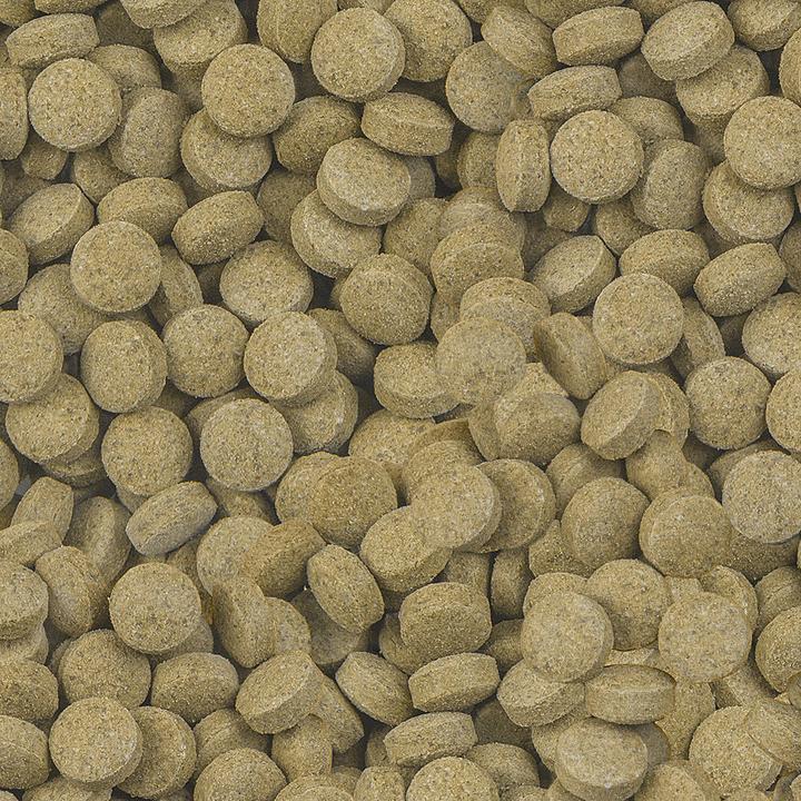 Actual product image Sera Viformo for catfish (Catfish, 250 ml)