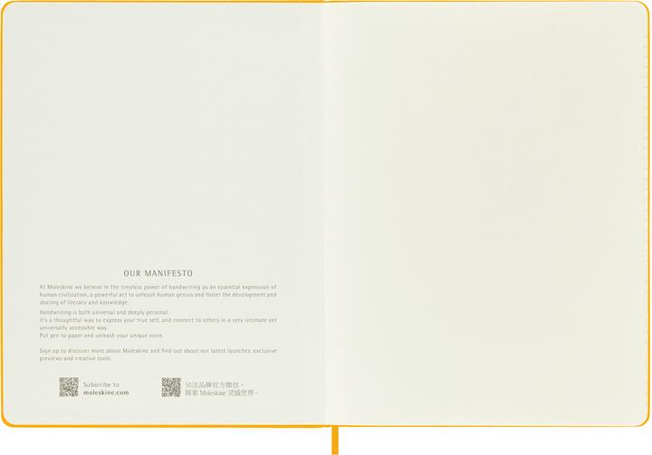 Image du produit Moleskine COLOR - Carnets de notes (25 x 19 cm, À rayures)