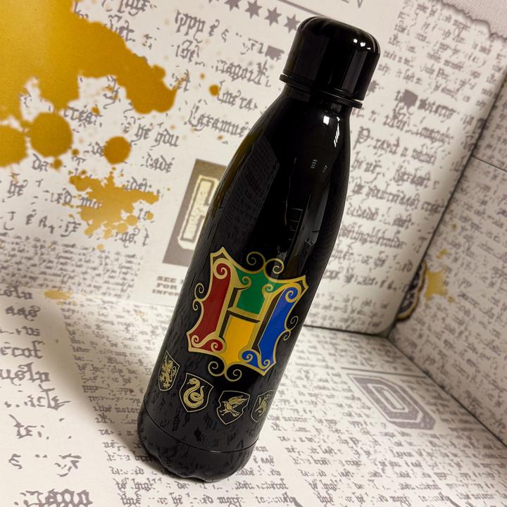 Immagine prodotto Blue Sky HARRY POTTER - Hogwarts - Bouteille en Plastique 500ml (0.65 l)