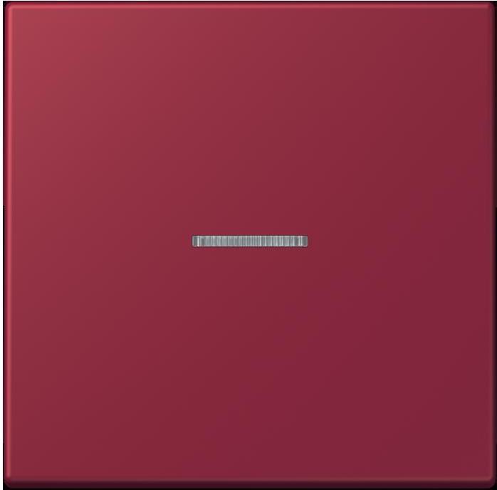 Produktbild JUNG Taster