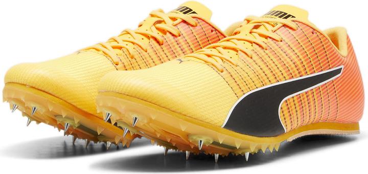 Puma evoSPEED FUTURE JUMP 6