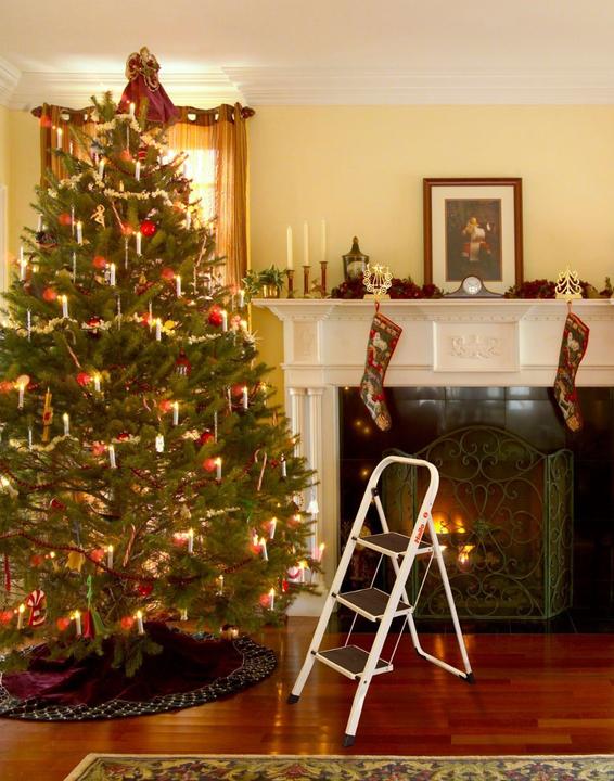 Actual product image Hailo K20 (Stepladder, 116 cm)