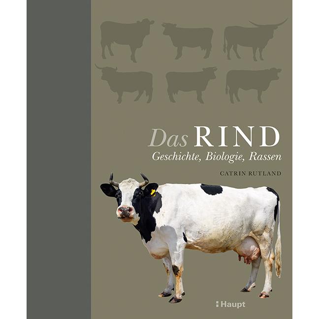 Das Rind, Sachbücher von Catrin Rutland