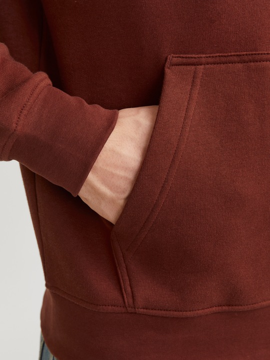Produktbild Jack & Jones Jorvesterbro Block Sweat Hood Styd Aw24 (M)