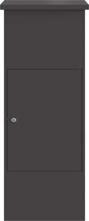 Actual product image vidaXL Paketbox
