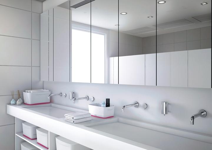 Immagine prodotto Leitz MyBox piccolo con coperchio rosa (24.60 cm, 5 l, 1x)