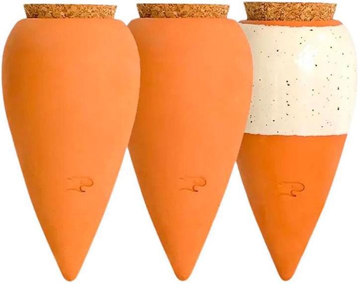 Immagine prodotto Pepin 3er-Set Mini Ollas Selbstbewässerungssystem