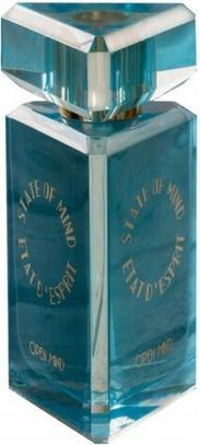Actual product image State Of Mind Open Mind (Eau de parfum, 100 ml)