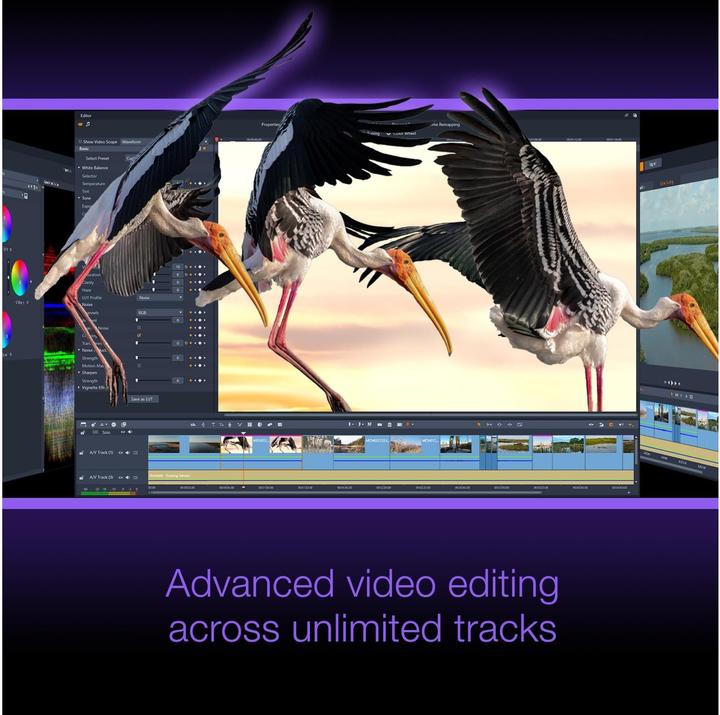 Produktbild Corel Studio 26 Ultimate - Box-Pack (1 User, unbegrenzt)