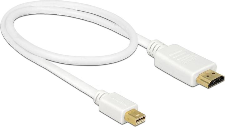 Actual product image Delock Mini DisplayPort — HDMI (Typ A) (0.50 m, DisplayPort, HDMI, 1.3)