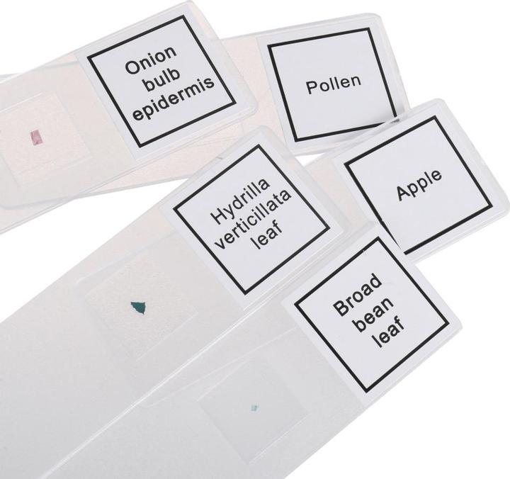 Actual product image Byomic Beginner's microscope set 100, 400 and 900x with case