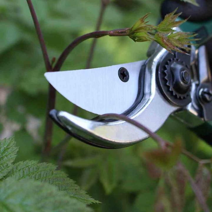 Productafbeelding Siena Garden Allzweckschere