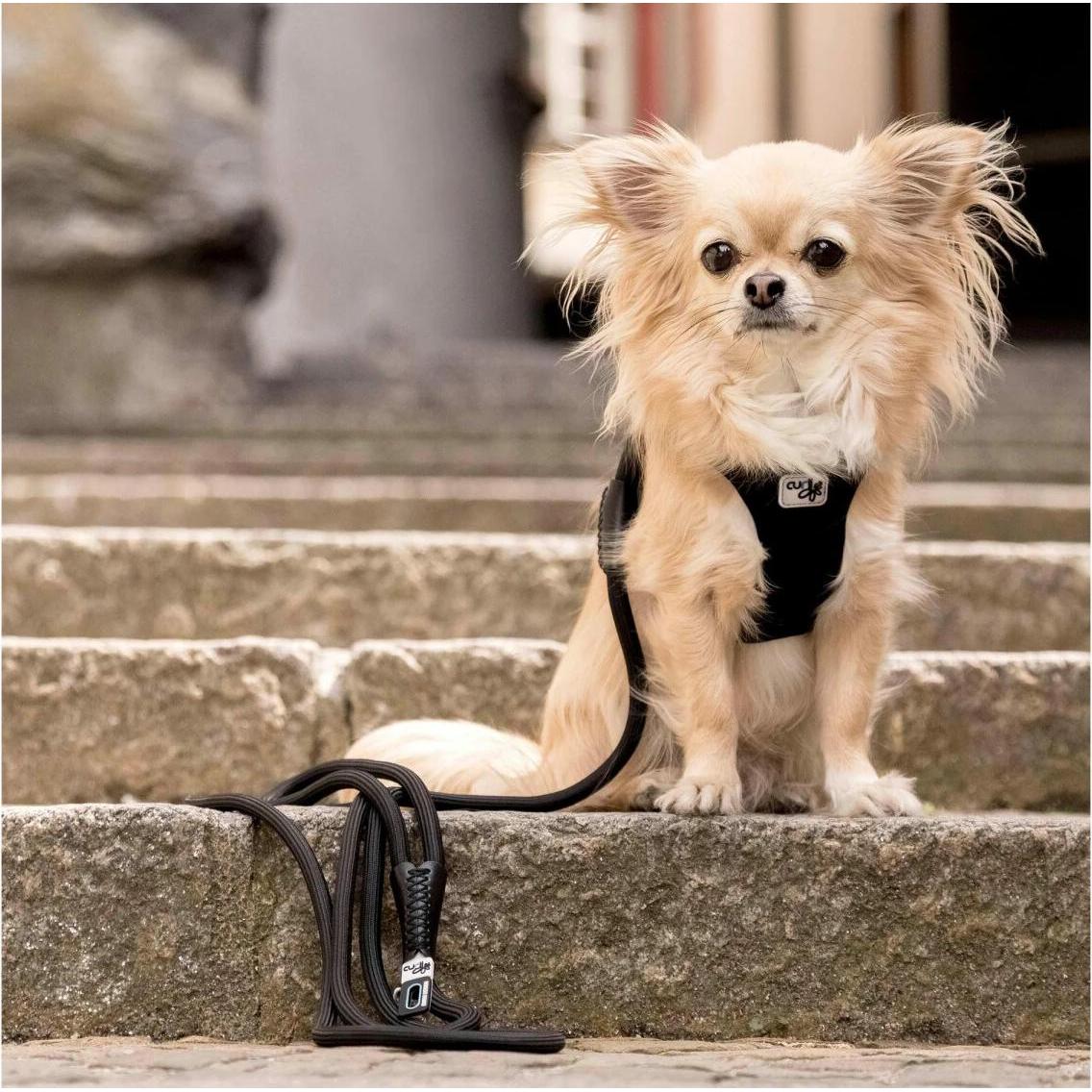 Curli laisse de chien Stretch Comfort Leash 1x180 cm nylon noir