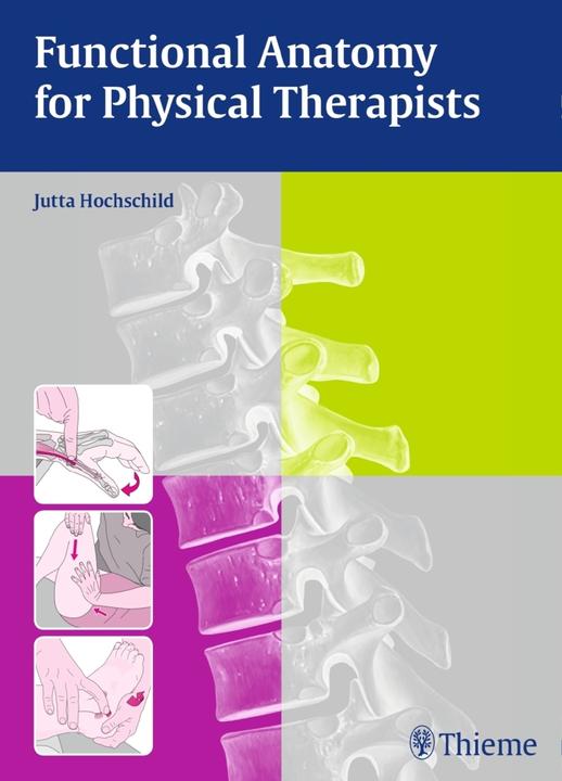 Produktbild Functional Anatomy for Physical Therapists (Englisch, Jutta Hochschild, 2015)
