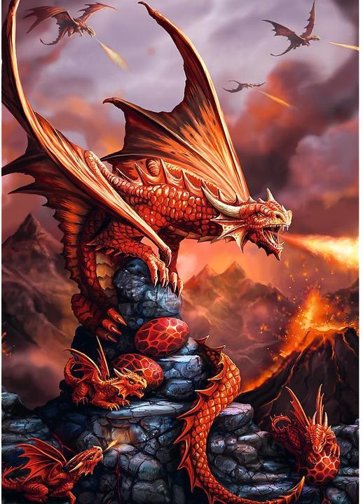 Actual product image Trefl Puzzle Premium Plus 1000 - Fantasy Collection: Fire Dragons (1000 pieces)